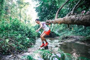 BIB: 
                            <button type="button" onclick="openModal(25431022)" class="btn btn-primary btn-sm float-right btn-popup" data-toggle="modal" data-target=".modal-high-quality">
                        <i class="fas fa-shopping-cart"></i> Add to Cart
                    </button>
                                            <button type="button" onclick="isThisMe(25431022, true)" class="btn btn-success btn-sm float-right btn-popup btn-isme hidden" data-toggle="tooltip" data-placement="bottom" title="นี่คือรูปของคุณใช่ไหม คลิกที่นี่เพื่อเอาเข้าอัลบั้ม">
                        <i class="fas fa-plus"></i> Add to album
                    </button>
                    <button type="button" onclick="isThisMe(25431022, false)" class="btn btn-warning btn-sm float-right btn-popup btn-isnotme hidden">
                        <i class="fas fa-ban"></i> Remove from album
                    </button>